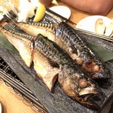 IMG_0139.jpg