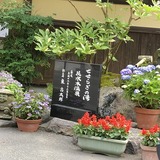 IMG_0163.jpg