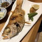 IMG_0676.jpg
