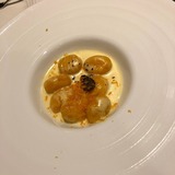 IMG_1126.jpg