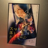 IMG_1146.jpg