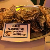 IMG_7973.jpg