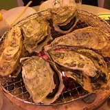 IMG_7978.jpg