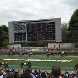 IMG_8245.jpg