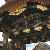 IMG_8340.jpg