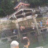 IMG_8386.jpg
