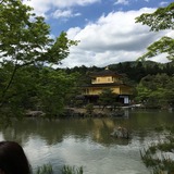 IMG_8406.jpg