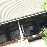 IMG_8457.jpg