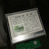 IMG_8718.jpg