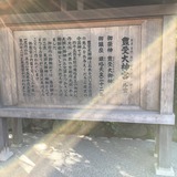 IMG_9320.jpg