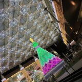 IMG_9370.jpg