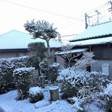 IMG_9639.jpg