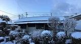 IMG_9643.jpg