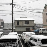 IMG_9644.jpg