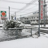 IMG_9727.jpg
